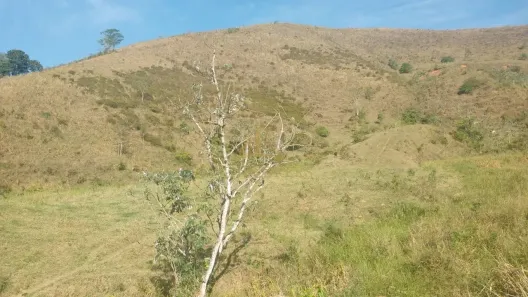 Fazenda/Sítio com 3 Quartos à venda, 1100000m² no Centro (São José do Turvo), Barra do Piraí