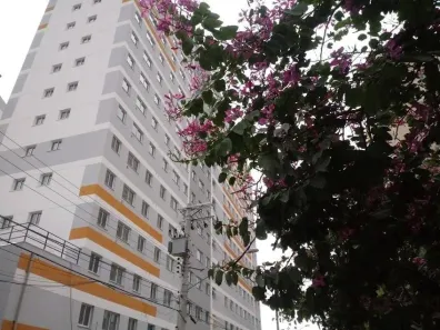 Apartamento com 2 Quartos à venda, 38m² no Cambuci, São Paulo