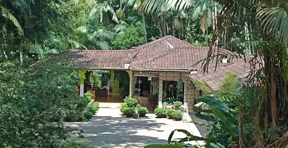 Fazenda/Sítio com 4 Quartos à venda, 17000m² no Centro, Morretes