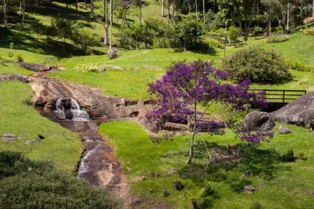 Lote/Terreno à venda, 2000m² no , Vargem Alta