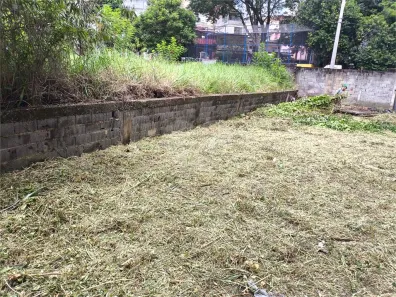 Lote/Terreno à venda, 250m² no Vila Santa Catarina, São Paulo