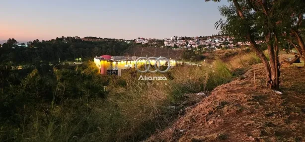 Casa com 5 Quartos à venda, 380m² no Belvedere, Belo Horizonte