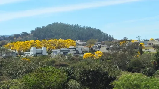 Lote/Terreno à venda, 364m² no Loteamento Sitio dos Ipês, Socorro