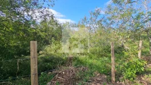 Lote/Terreno à venda, 384m² no Pântano do Sul, Florianópolis