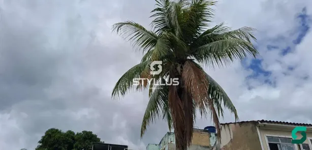 Casa com 3 Quartos à venda, 251m² no Piedade, Rio de Janeiro