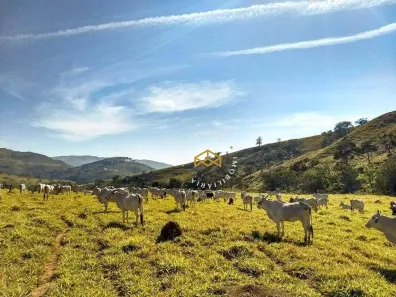 Fazenda/Sítio com 3 Quartos à venda, 500m² no , Ilicínea