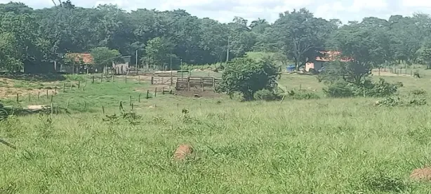 Fazenda/Sítio com 3 Quartos à venda, 6m² no Centro, Arenópolis