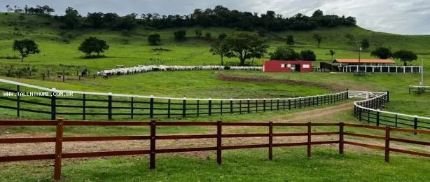Lote/Terreno à venda, 1766600m² no Uraí, Uraí