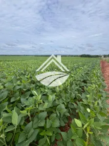 Fazenda/Sítio à venda, 22160000m² no , Conceição do Araguaia
