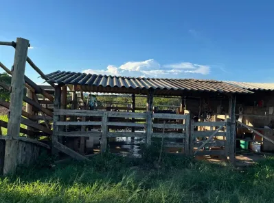 Fazenda/Sítio à venda, 1m² no Centro, Unaí