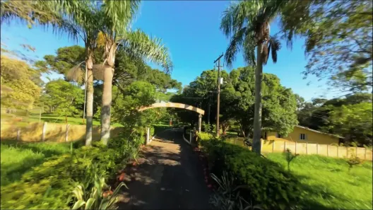 Fazenda/Sítio com 3 Quartos à venda, 150m² no Uvaia, Ponta Grossa