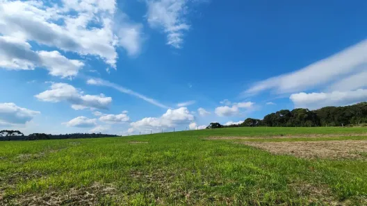 Fazenda/Sítio à venda, 25000m² no , Bocaina do Sul