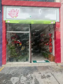 Ponto Comercial à venda, 100m² no Vila Aricanduva, São Paulo