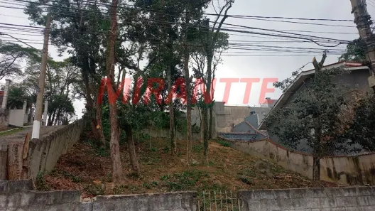 Lote/Terreno à venda, 700m² no Horto Florestal, São Paulo