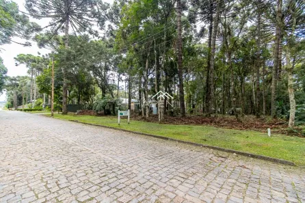 Lote/Terreno à venda, 4595m² no Planta O Recanto, Piraquara