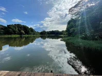 Fazenda/Sítio com 3 Quartos à venda, 3466m² no Villa Romana, Aparecida de Goiânia