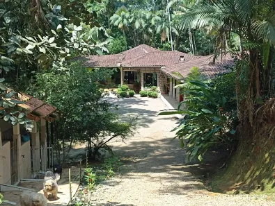 Fazenda/Sítio com 4 Quartos à venda, 17000m² no Centro, Morretes
