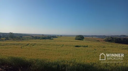 Lote/Terreno à venda, 193600m² no Assis Chateaubriand, Assis Chateaubriand