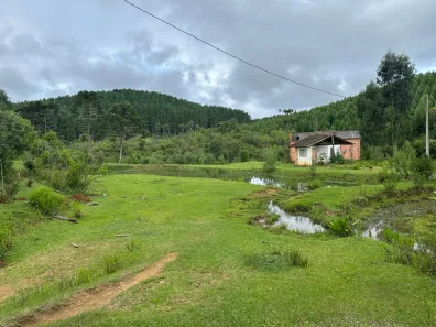Fazenda/Sítio à venda, 30000m² no , Campo Alegre