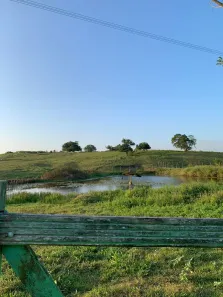 Fazenda/Sítio com 3 Quartos à venda, 55000m² no , Pilar