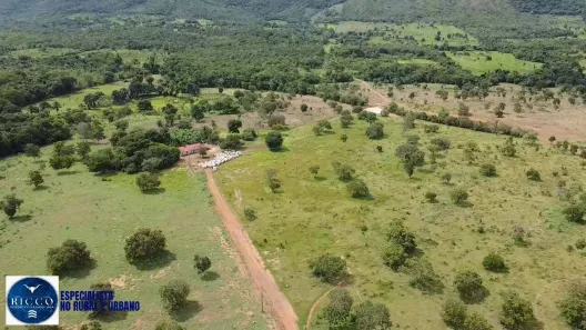 Fazenda/Sítio com 3 Quartos à venda, 233m² no Centro, Porto Nacional