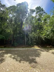 Lote/Terreno à venda, 3780m² no Samambaia, Petrópolis