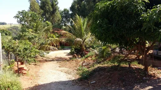 Fazenda/Sítio com 3 Quartos à venda, 1750m² no Professora Liliana de Sousa Gonzaga, Marília