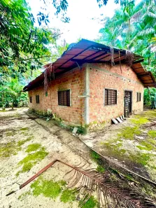 Fazenda/Sítio com 3 Quartos à venda, 2500m² no Pau Darco, Santa Bárbara do Pará