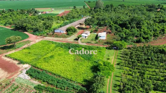 Fazenda/Sítio com 2 Quartos à venda, 20000m² no Br Rural, Indianópolis