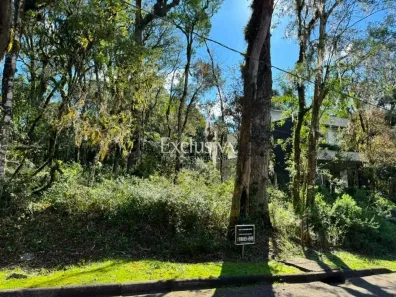 Lote/Terreno à venda, 600m² no Caracol, Canela