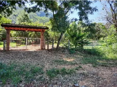 com 3 Quartos à venda, 93000m² no , Ribeirão Bonito