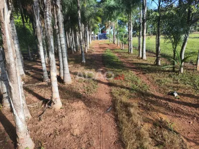 Fazenda/Sítio à venda, 150m² no , Professor Jamil