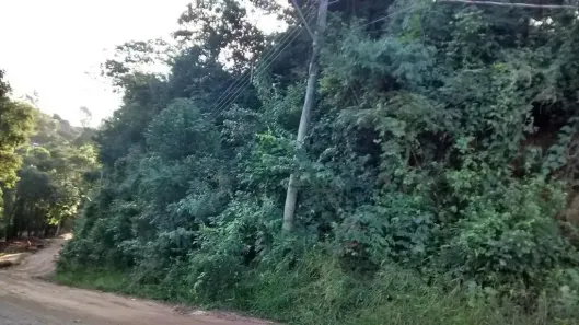Lote/Terreno à venda, 9700m² no Vista Alegre, Vinhedo
