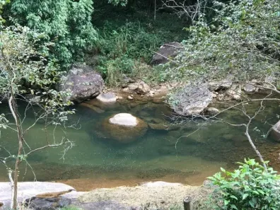 Fazenda/Sítio com 9 Quartos à venda, 229380m² no Centro, Conceição de Macabu