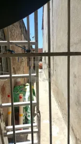 Casa com 3 Quartos à venda, 300m² no Rosa Elze, São Cristóvão