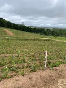 Lote/Terreno à venda, 500m² no Parque Bahia, Cotia