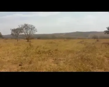 Fazenda/Sítio à venda no Centro, Santo Antônio do Descoberto