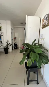 Apartamento com 1 Quarto para alugar, 35m² no Vila Augusta, Guarulhos