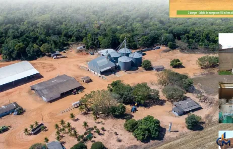 Fazenda/Sítio com 1 Quarto à venda, 5000m² no Centro, Campo Novo do Parecis
