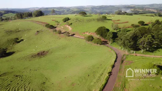 Fazenda/Sítio com 6 Quartos à venda, 600m² no Parque Industrial Zona Sul, Apucarana