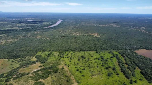 Fazenda/Sítio com 7 Quartos à venda, 950m² no Área Rural de Cuiabá, Cuiabá