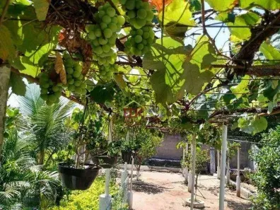 Casa com 2 Quartos à venda, 280m² no Piracangaguá, Taubaté