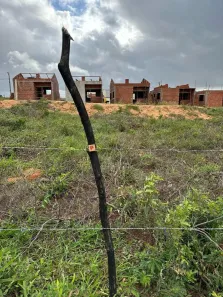 Lote/Terreno à venda, 220m² no 59575000, Extremoz