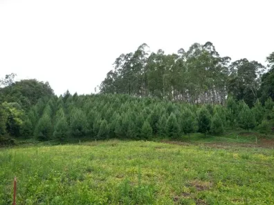 à venda, 17135m² no Santa Maria, Benedito Novo