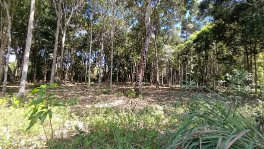 Lote/Terreno à venda, 1675m² no Arraial D'Ajuda, Porto Seguro