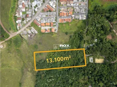 Lote/Terreno à venda, 13100m² no Rancho Alegre, Campina Grande do Sul