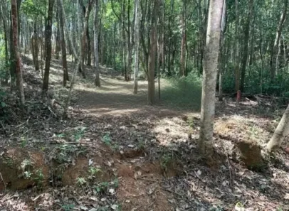 Lote/Terreno à venda, 1070m² no São Sebastião das Águas Claras, Nova Lima