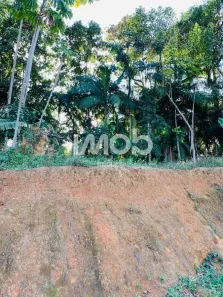 Lote/Terreno à venda, 2539m² no Avaí, Guaramirim