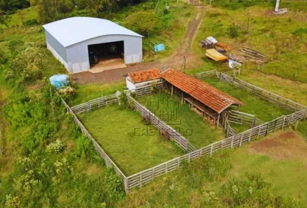 Fazenda/Sítio com 1 Quarto à venda, 1140400m² no , Assaí