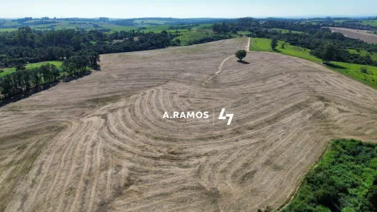 Fazenda/Sítio à venda, 302500m² no Zona Rural, Porto Feliz
